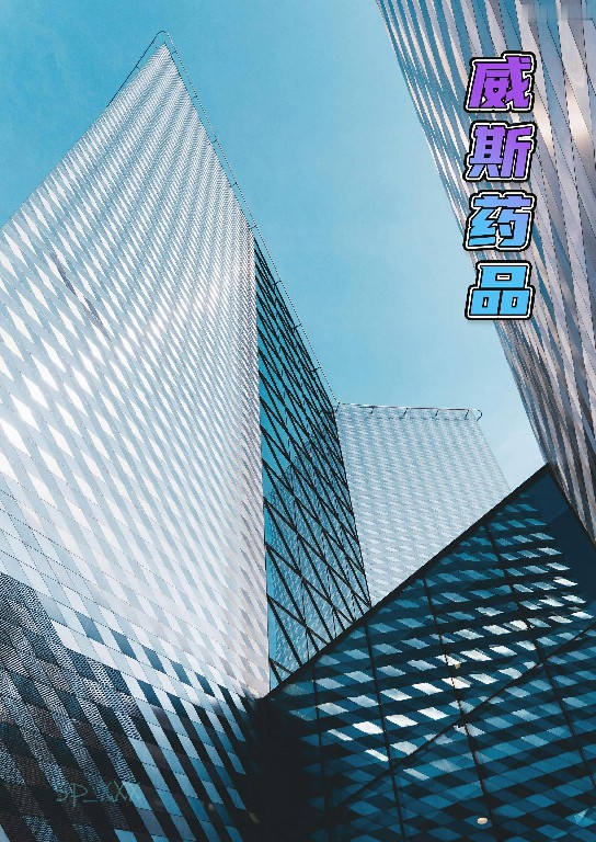 试看第 1 页