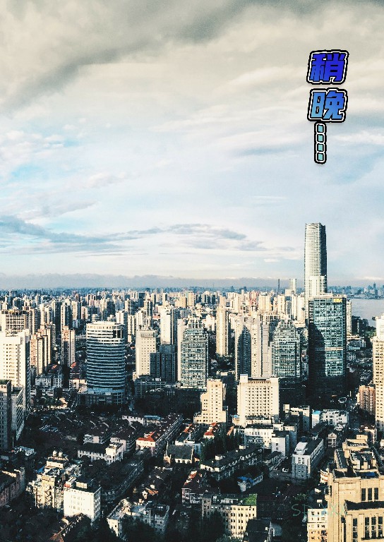 试看第 1 页